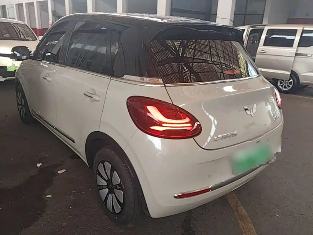 Wuling Bingo 2024