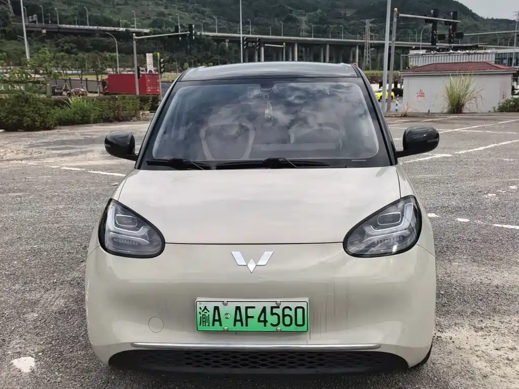 Wuling Bingo 2024