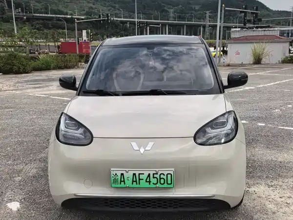 Wuling Bingo 2024