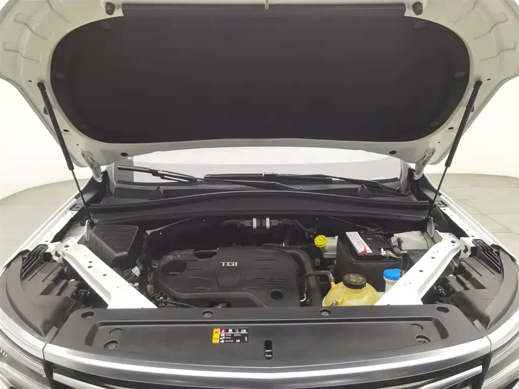 Roewe RX5 MAX 2020 — фото 6