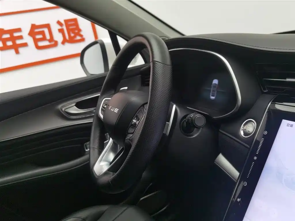 Roewe RX5 MAX 2020 — фото 22