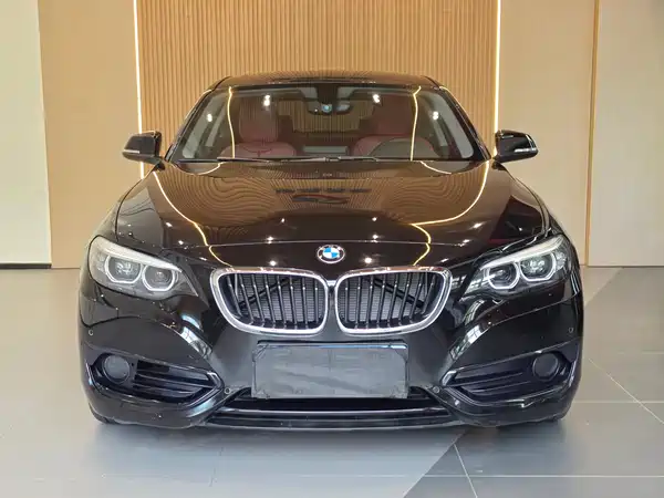 BMW 2 Series 2019