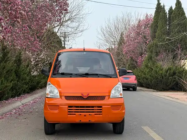 Wuling Rongguang EV 2020