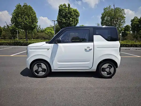 Geely Galaxy Panda 2023