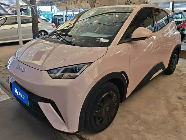 BYD Seagull 2024