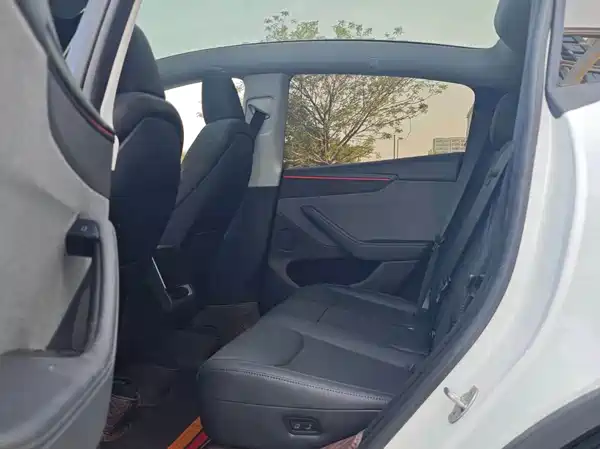 Tesla Model Y 2025