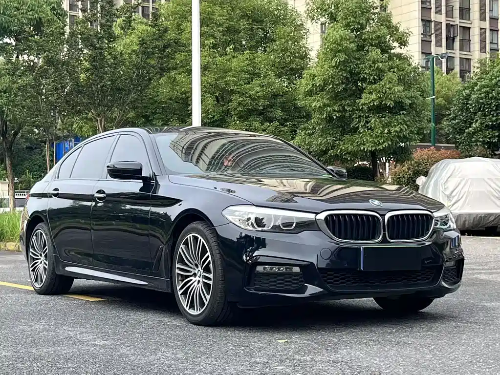 BMW 5 Series 2019 — фото 3