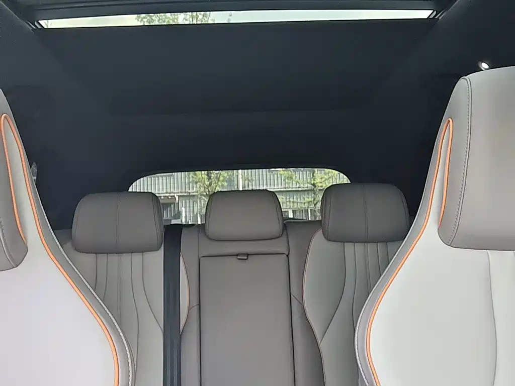 BYD Song Pro New Energy 2024 — фото 12