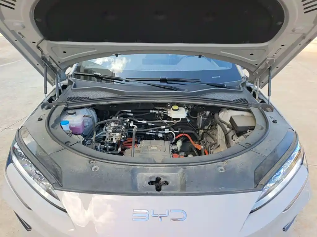 BYD Song PLUS New Energy 2025 — фото 20