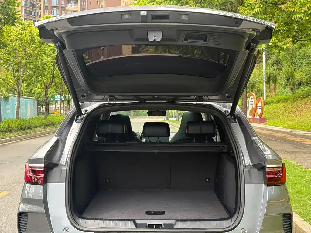 BYD PLUS New Energy 2022 — фото 17