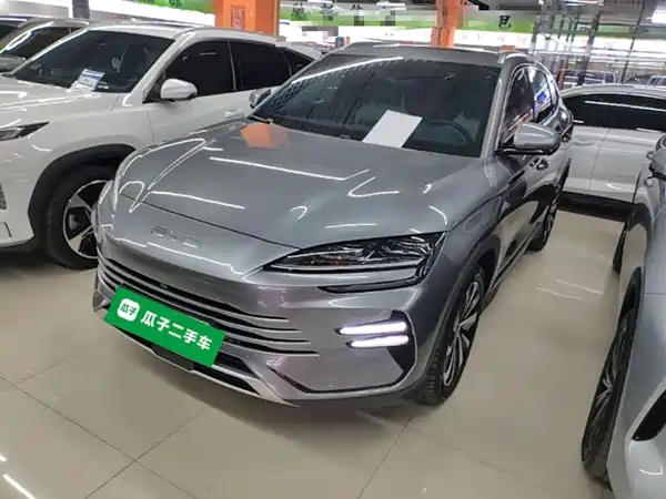 BYD Song PLUS New Energy 2024