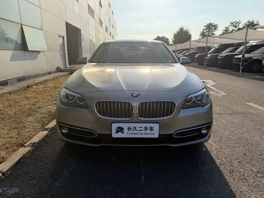 BMW 5 Series 2017 — фото 2