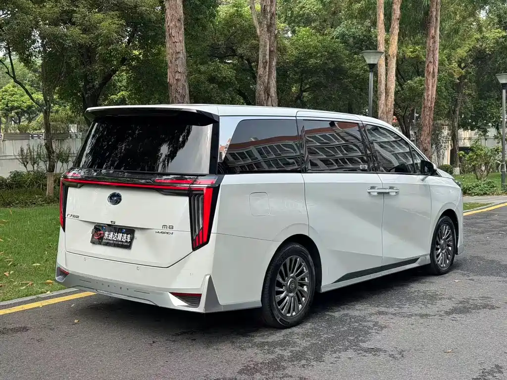 GAC Motor Trumpchi M8 2024 — фото 20