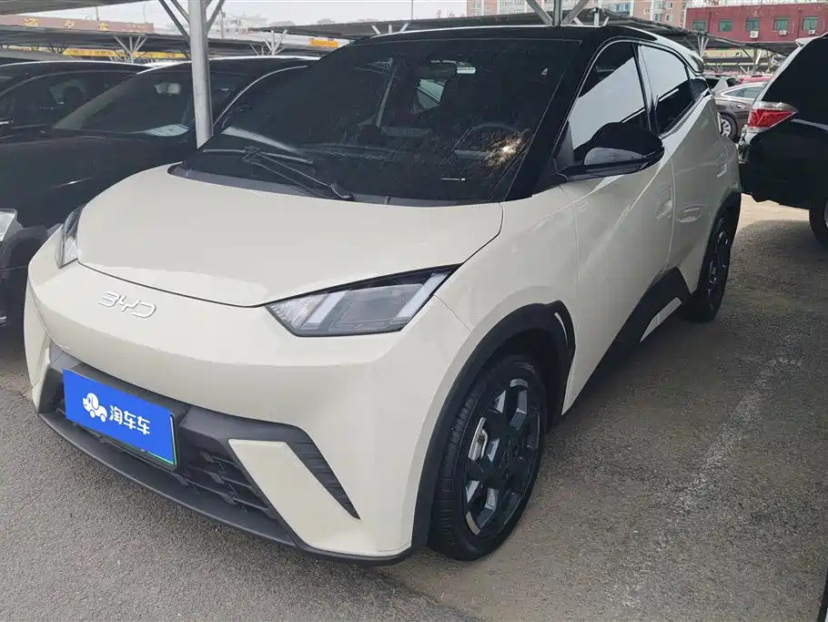 BYD Seagull 2024