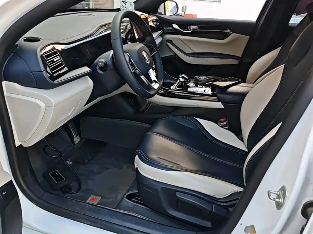 BYD Qin PLUS 2022 — фото 15
