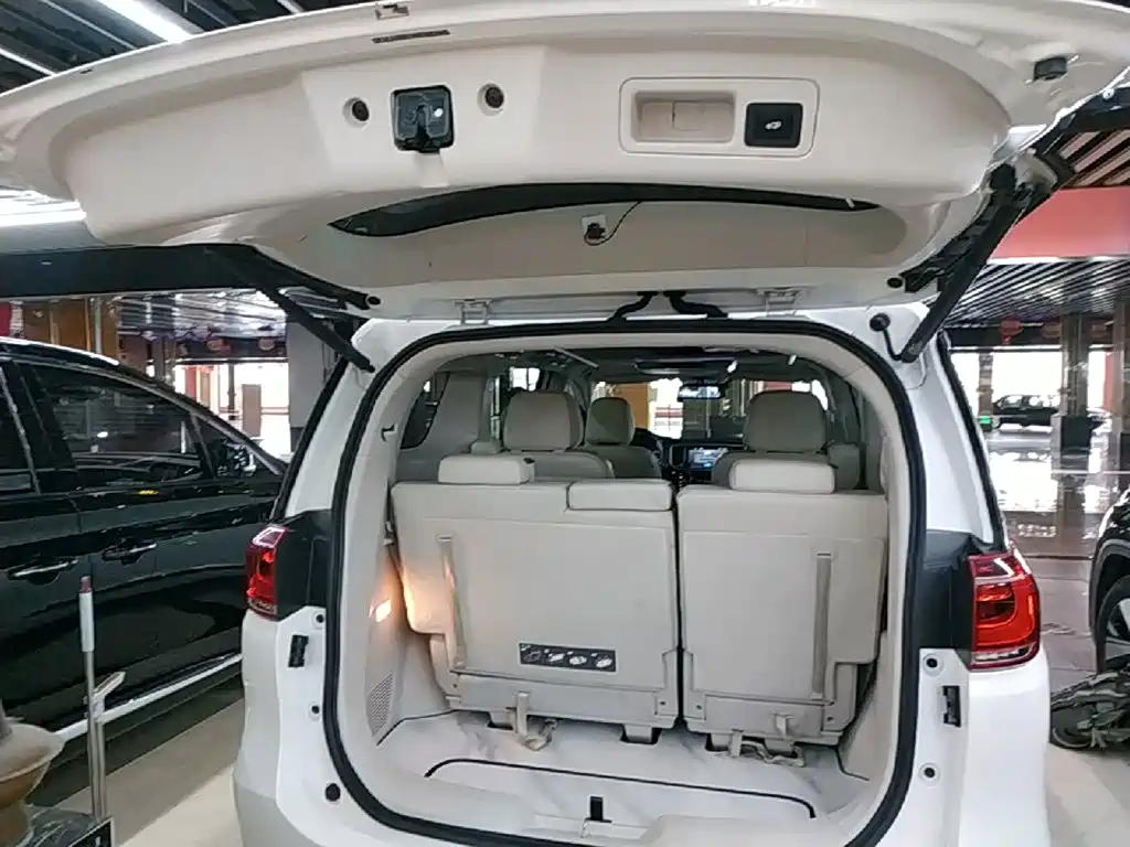 GAC Motor Trumpchi M8 2019 — фото 19