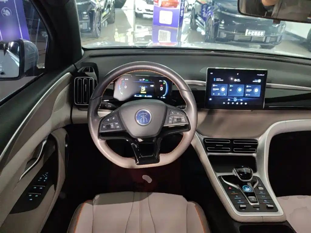 BYD Pro New Energy 2024 — фото 11