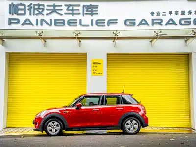 MINI MINI 2018