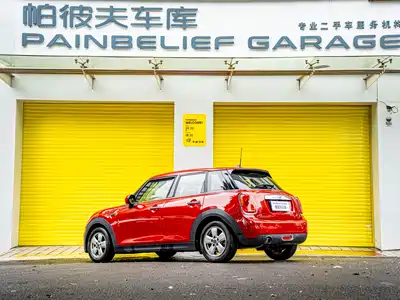 MINI MINI 2018