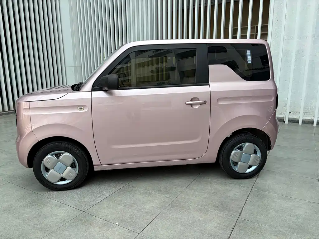 Geely Galaxy Panda 2024