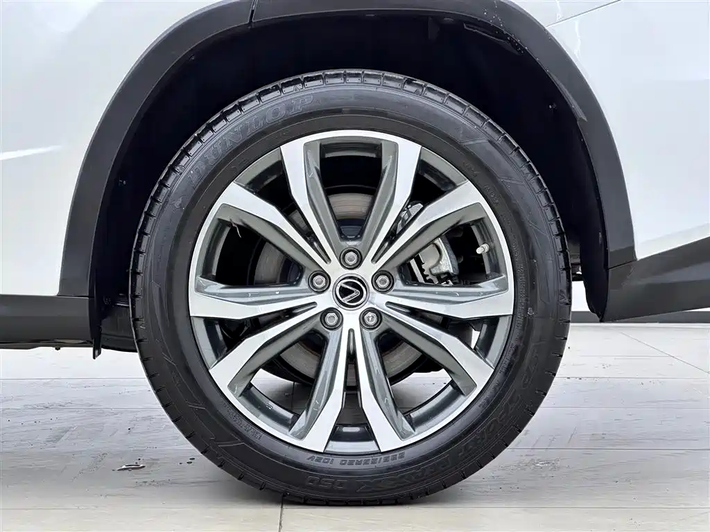 Lexus RX 2022 — фото 18