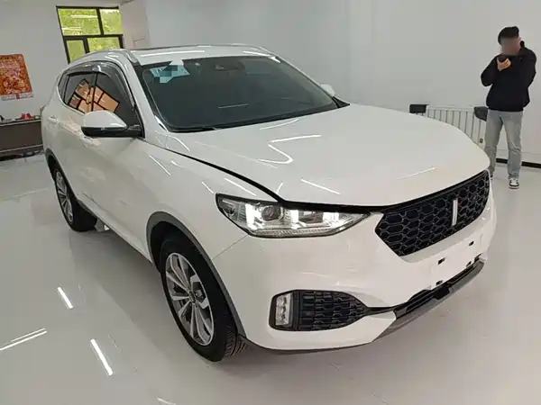 Wey VV6 2018