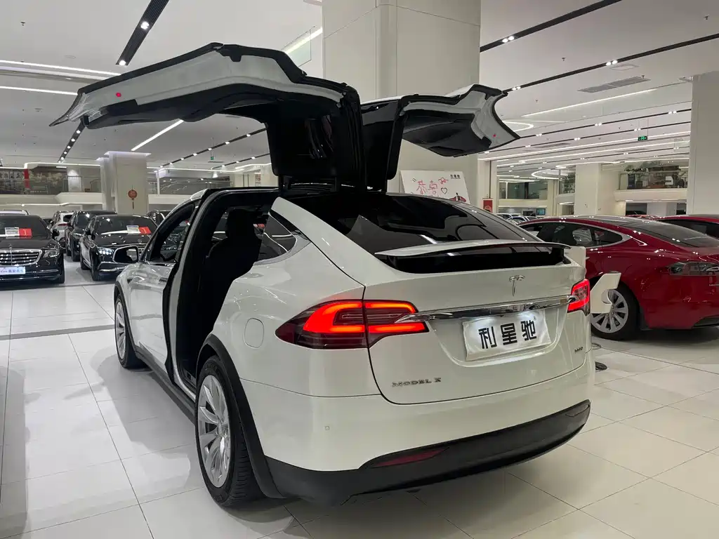 Tesla Model X 2019