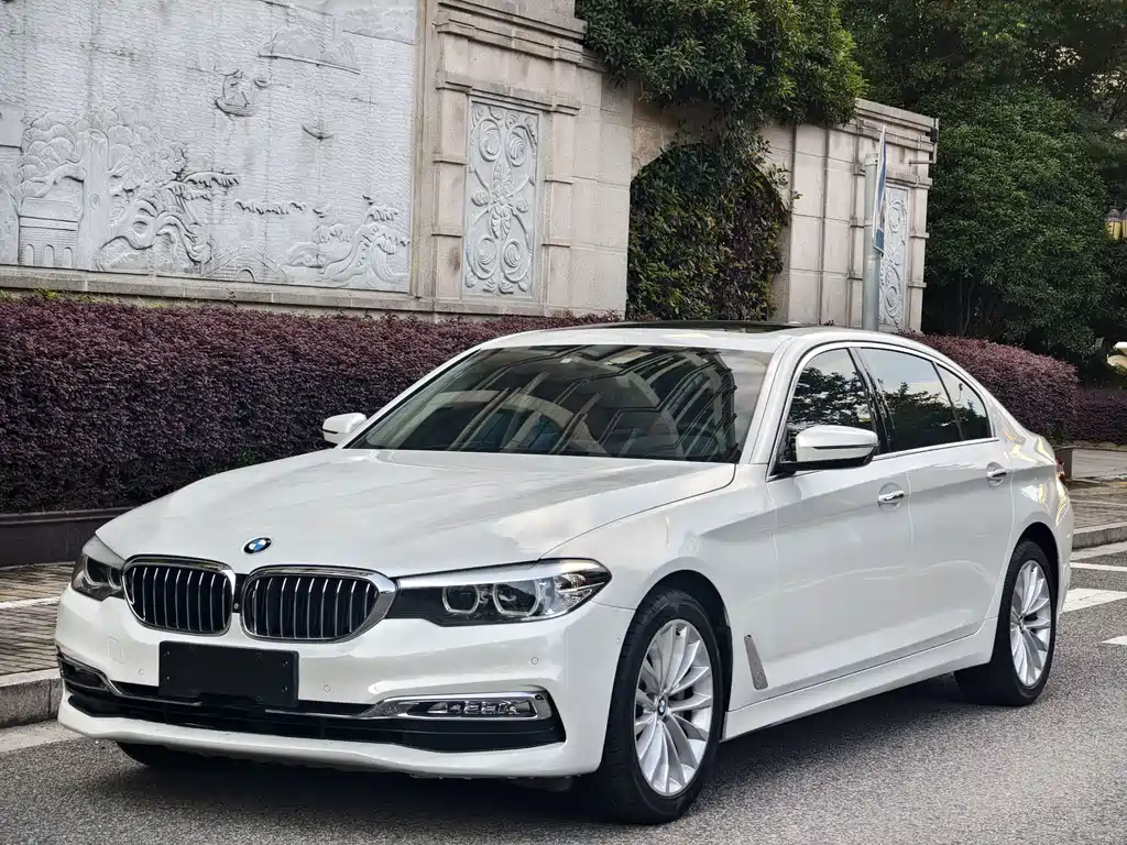 BMW 5 Series 2019