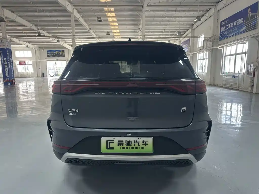 BYD Tang New Energy 2024 — фото 5