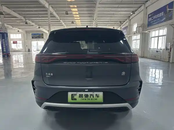 BYD Tang New Energy 2024
