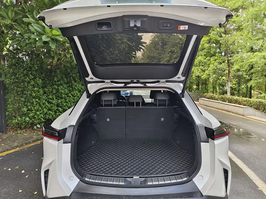 Lexus RZ 2023 — фото 10