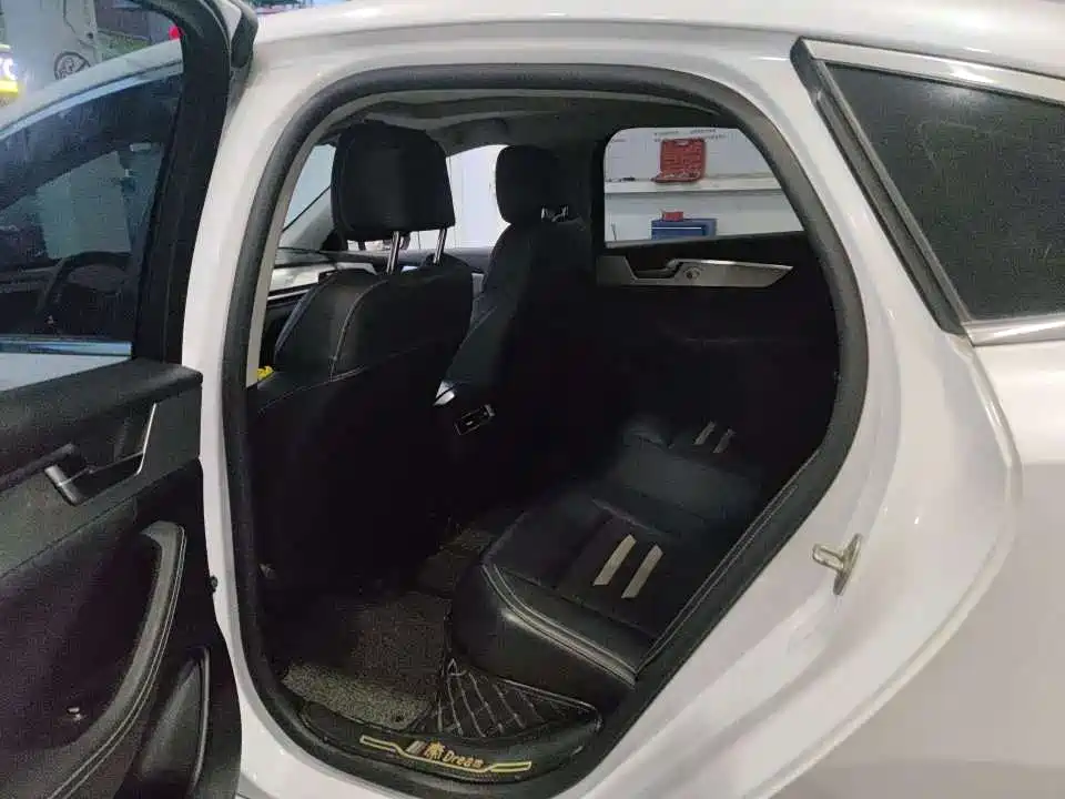 BYD Qin Pro NEV 2019 — фото 2