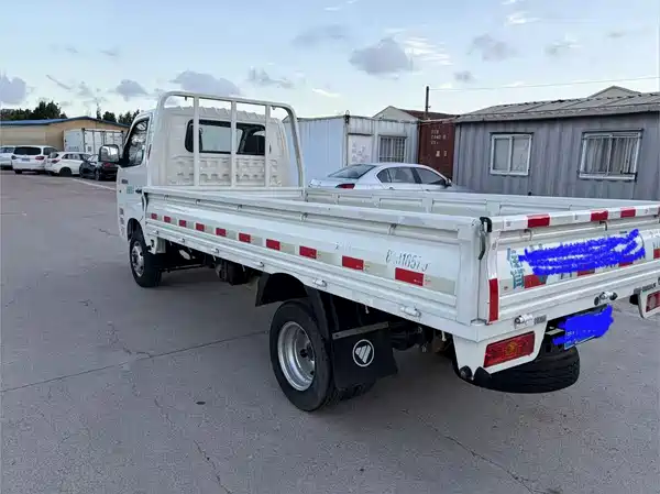 Futian Xiangling M 2021