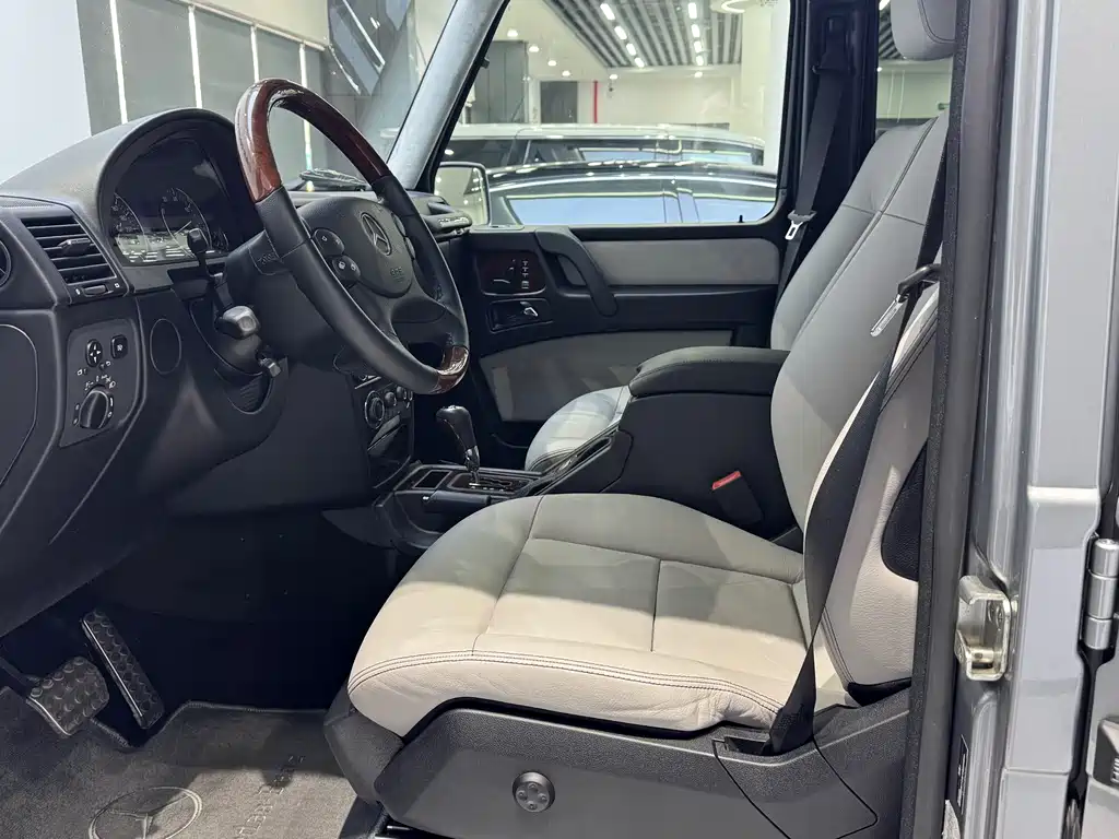 Mercedes-Benz G-Class 2010 — фото 16