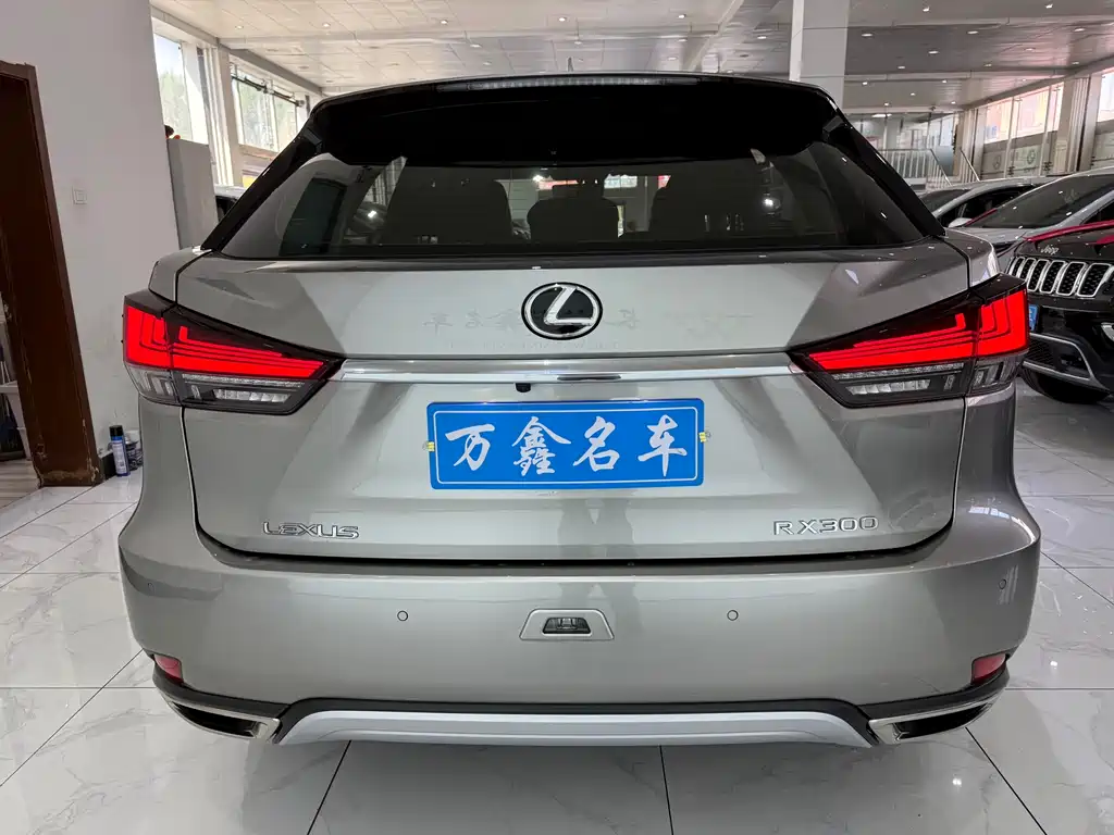 Lexus RX 2021 — фото 18