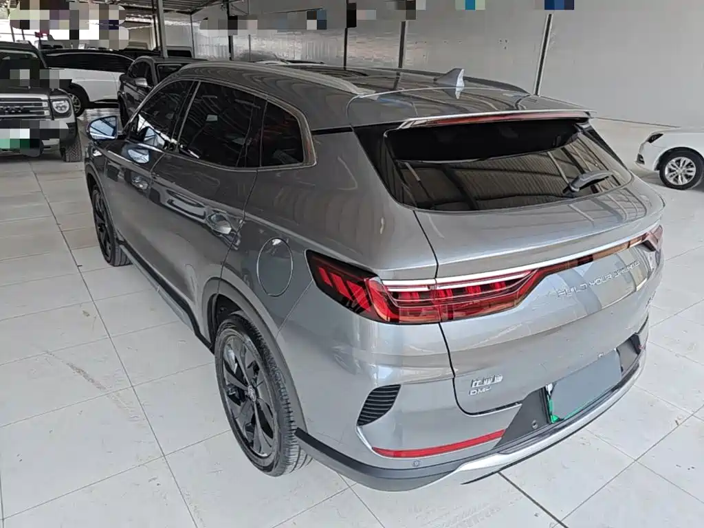 BYD PLUS New Energy 2022 — фото 23