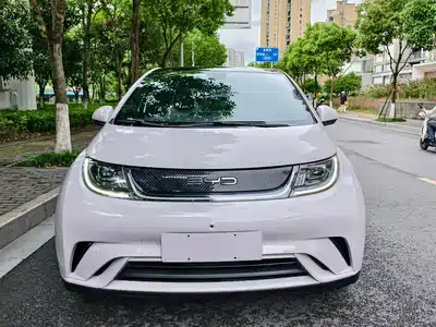 BYD Dolphin 2021