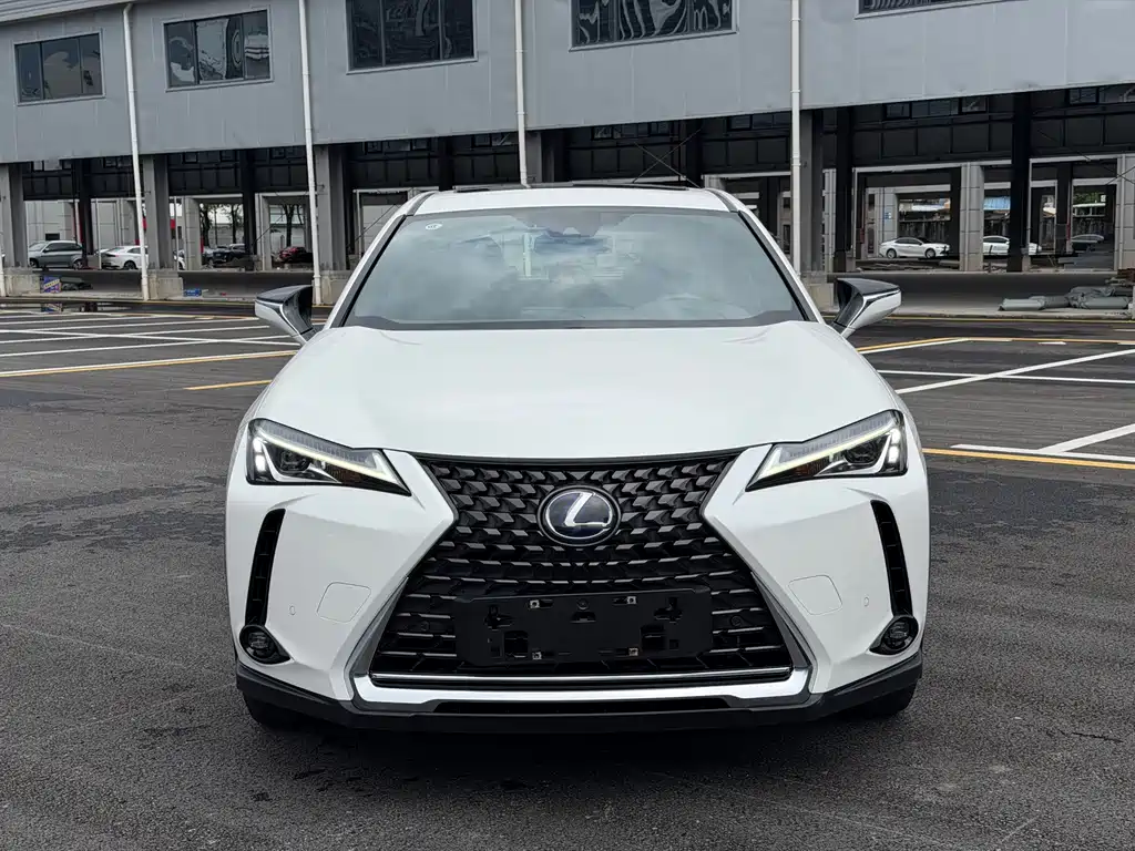 Lexus UX New Energy 2022 — фото 2