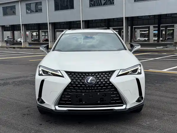 Lexus UX New Energy 2022