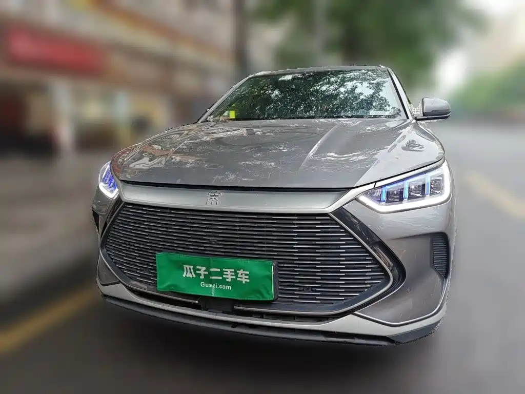 BYD Song PLUS New Energy 2022 — фото 24