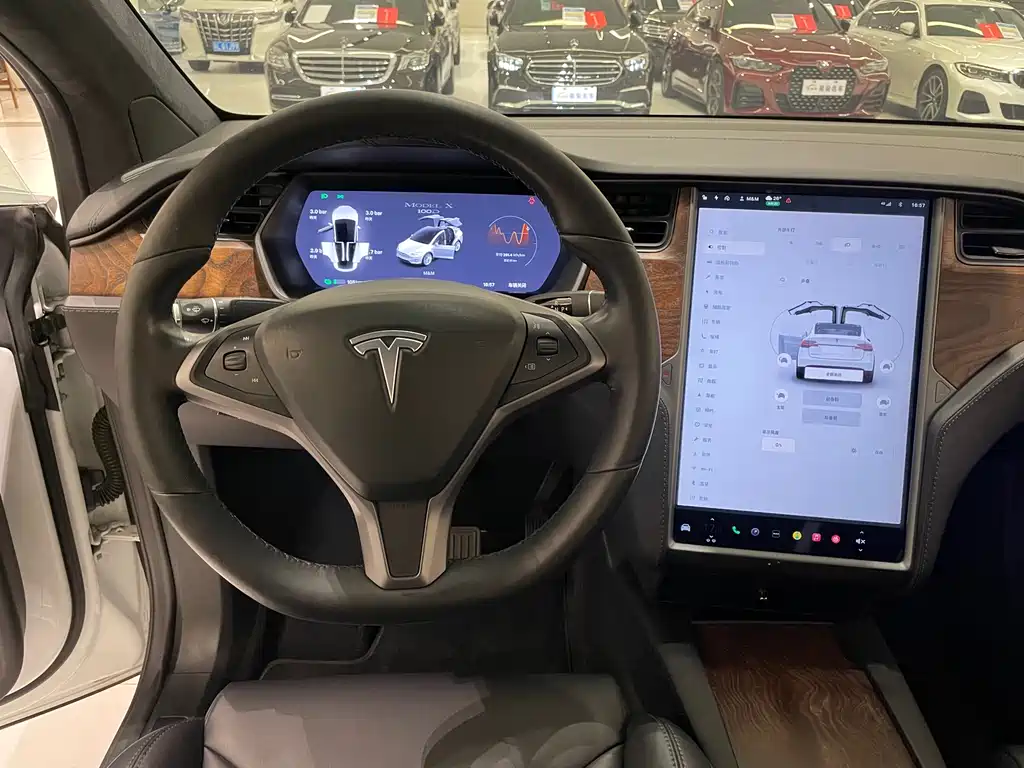 Tesla Model X 2019 — фото 10