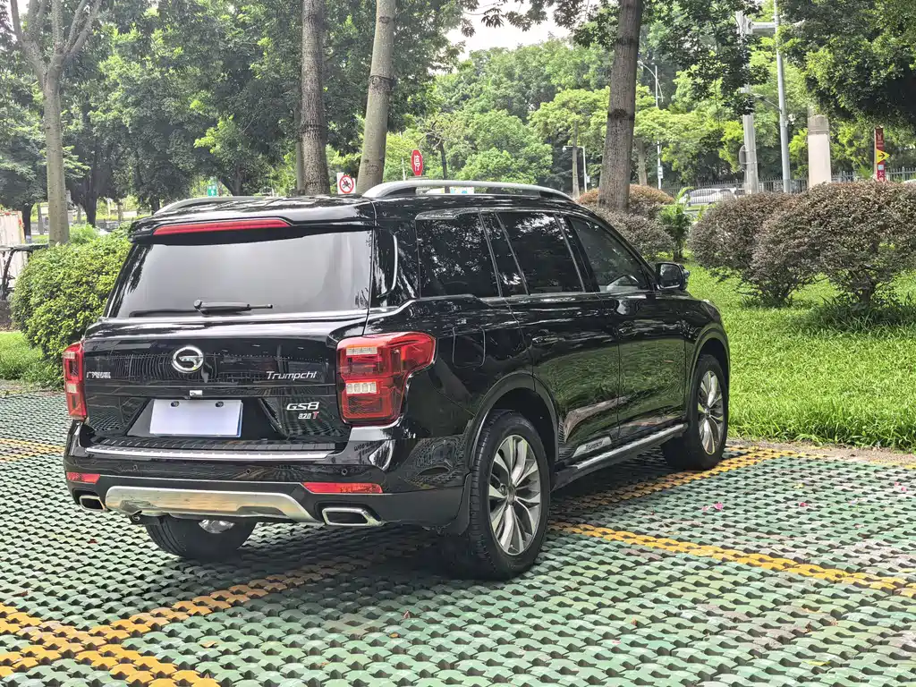 GAC Trumpchi GS8 2019 — фото 16
