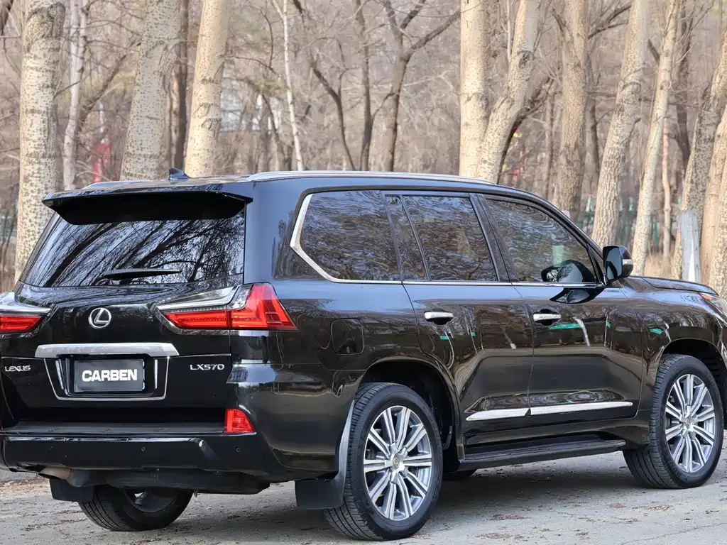 Lexus LX 2016 — фото 12