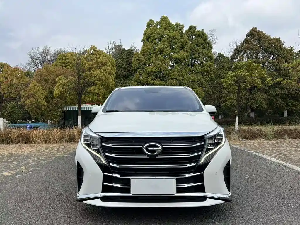 GAC Trumpchi M8 2021 — фото 25