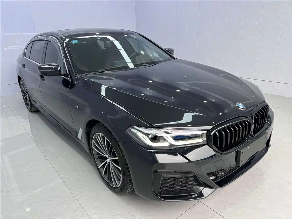 BMW 5 Series 2019 — фото 6