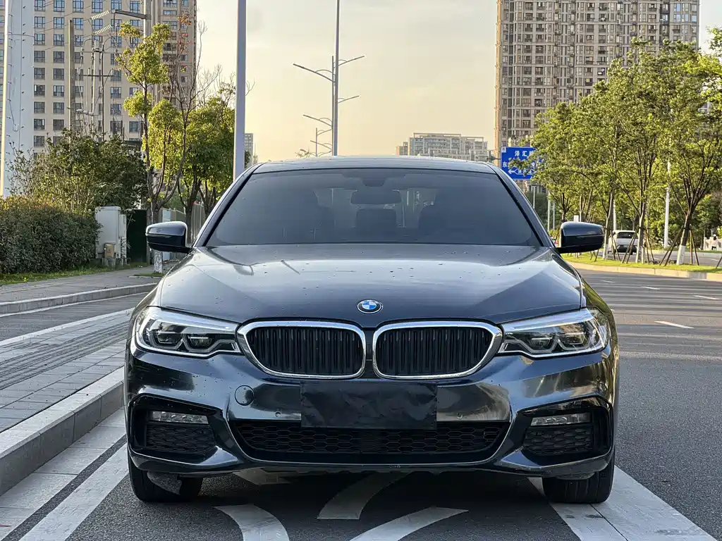 BMW 5 Series 2018 — фото 2