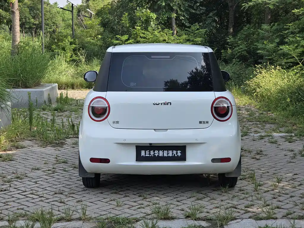 Changan Lumin 2025