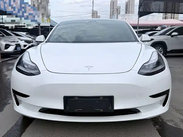 Tesla Model 3 2020