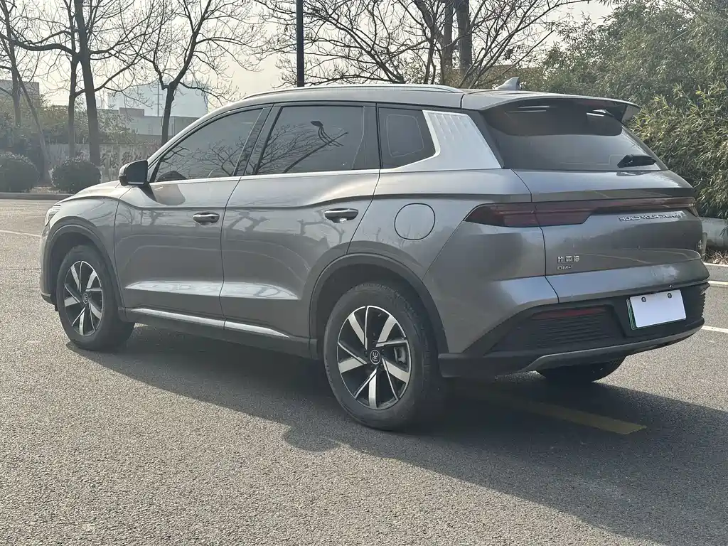 BYD Pro New Energy 2024 — фото 9