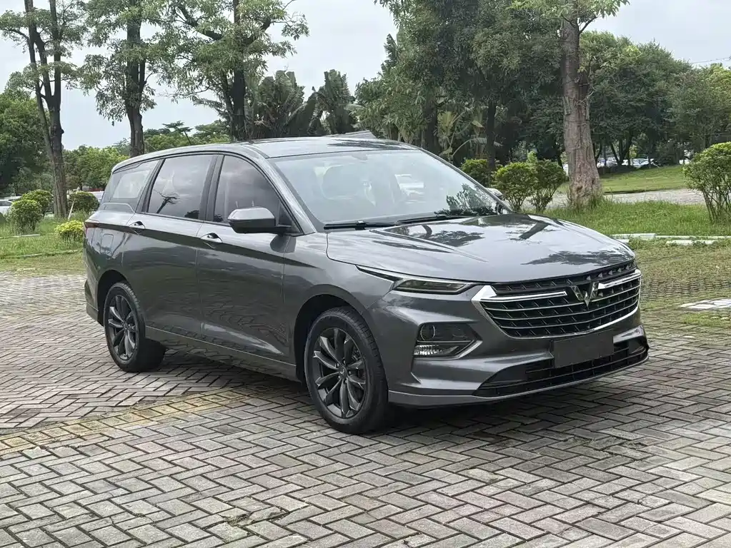 Wuling Victory 2021